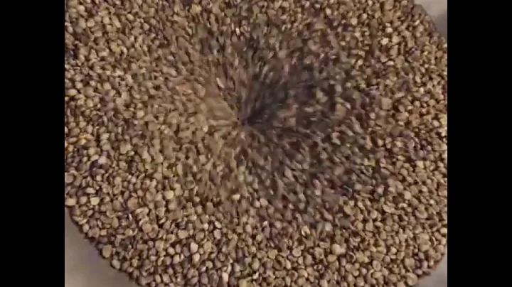 Roasting Process
