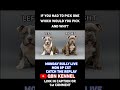 Catch The Replay‼️ #qbnkennel #americanbully
