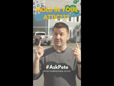 #AskPete Episode 28 - Mold in your Attic