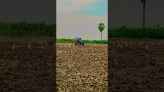 Sonalika Sikander 47 🚜 tractor chas hocche...#short#video..