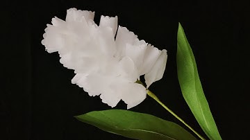 ABC TV | How To Make Tissue Paper Flower #1- Craft Tutorial