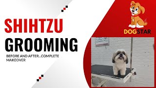 Shihtzu Teddy Cut Grooming | Full Scissoring Video