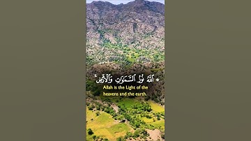 تلاوة خاشعة قرأن كريم راحة نفسية #تلاوة #elmulquranعلم #اكسبلور #المصحف #قران_كريم #trend