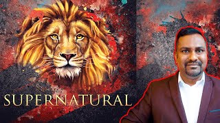 You will see the Lion of Judah Roars and Shutting the mouth of your enemies // Prophetic Word