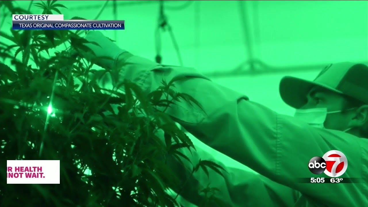 Medical cannabis dispensary will open soon in El Paso YouTube
