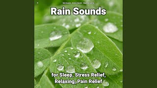 Rain Sounds for Studying