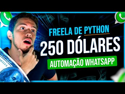 Freela de Python de 250 Dólares - Automação de Whatsapp