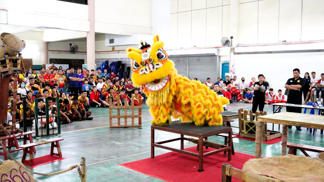 槟州大山脚鱼池区忠华龙狮团A队 | 2023年全槟武术龙狮競標赛 | 檳州武術龍獅總會 | Wushu Lion And Dragon Dance Championship