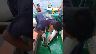 Ang padala ng mga isda namin #viralvideo #handfish #handlinefishing #youtubeshorts