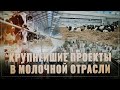 Плохие новости для конкурентов. В России строятся огромные проекты в молочной отрасли. Обзор