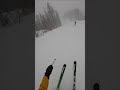 Skiing in a Snowstorm. Italy