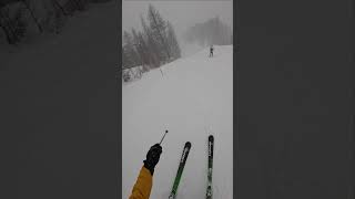 Skiing in a Snowstorm. Italy