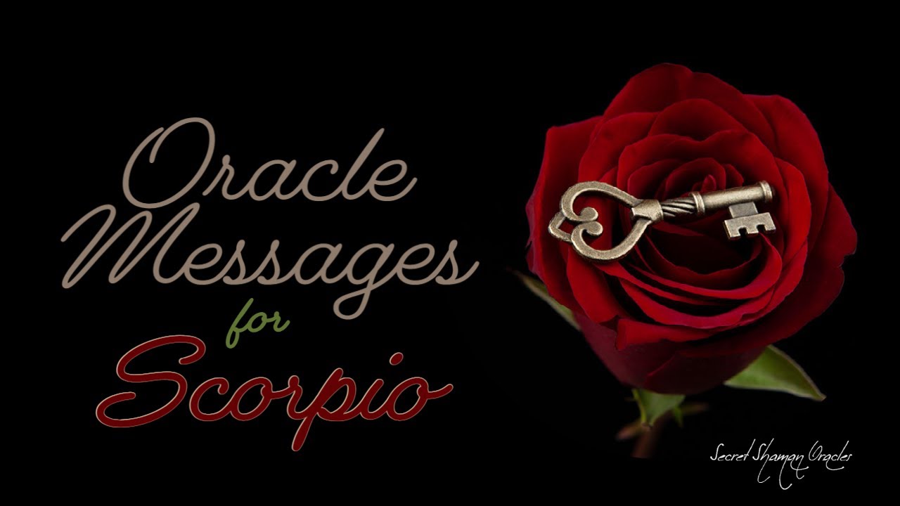 Scorpio- Relax, You'll Be Getting Everything You Need To Fulfill Your Life's Purpose & So Much More