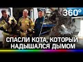 Видео: котёнка реанимируют с помощью кислородной маски. Подвиг спасателей в Иркутске