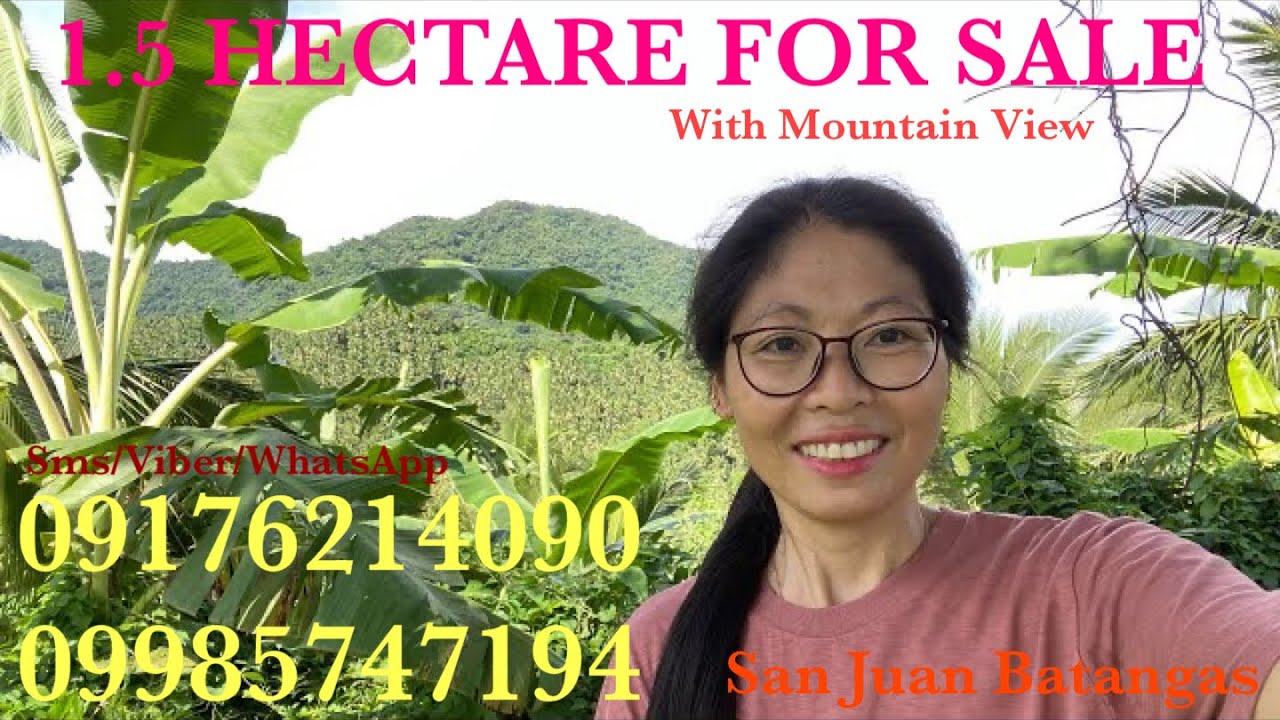 Vlog528 1.5 HECTARE FARM WITH OVERLOOKING MOUNTAIN VIEW FOR SALE IN