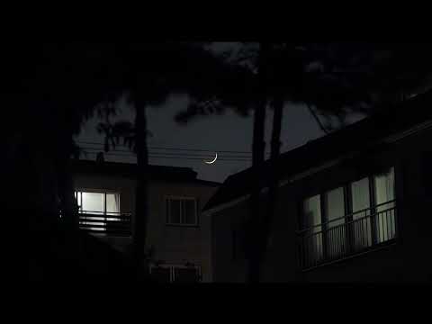 Chase Atlantic The Walls Slowed