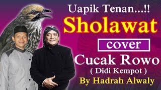 New - Sholawat Cover Cucak Rowo Versi Alwaly