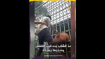 هجوم مرعب قرد يهاجم شابا بشكل عنيف 