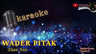 Download Lagu WADER PITAK KARAOKE - DIAN ANIC MP3