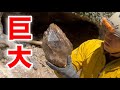 【神回】山道にとんでもなくデカい水晶が落ちていた件…！