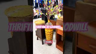 Lets Go Thrifting At Goodwill