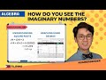 PAANO MO MAKIKITA ANG MGA IMAGINARY NUMBERS? | MATH TEACHING TIPS