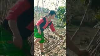 Nkauj Hmoob Da Dej P3