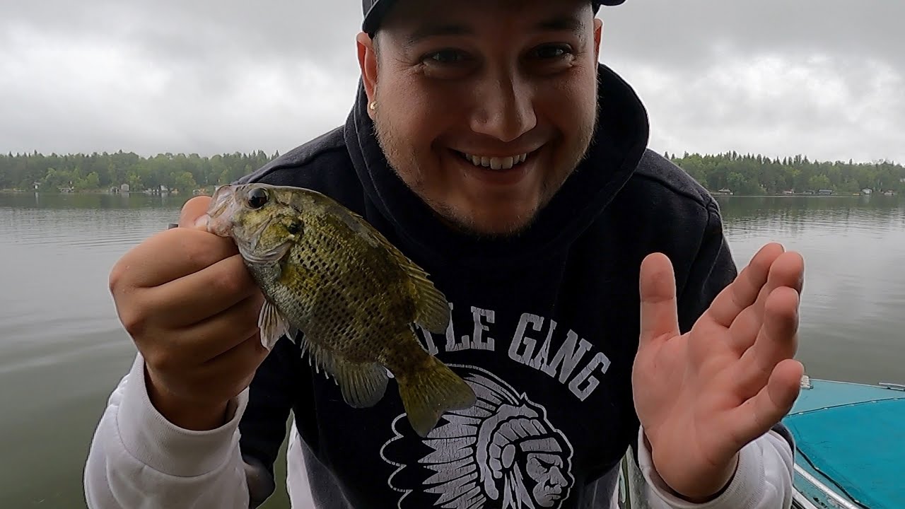 How to catch a fish in 30 seconds! YouTube