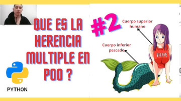 🔺Lección 7.7.2: Herencia Múltiple en Python Curso Completo 2024 by Yuscu Mejia🔺 #programacion