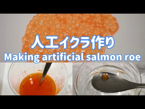 人工イクラ作り Making Artificial Salmon Roe Youtube
