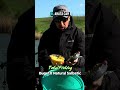 TotalFishing BugetX Natural Salbatic