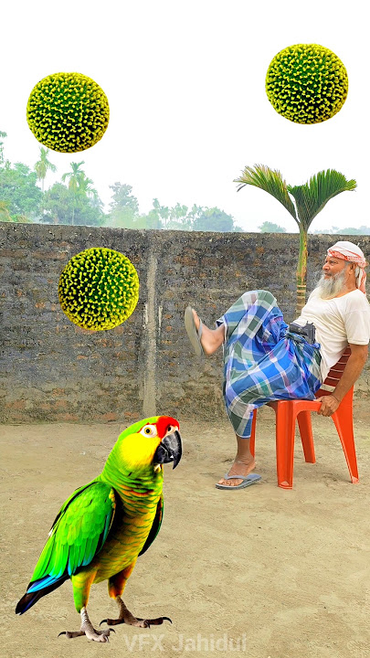 Rounding deep 🟢 kadambas to Duck, Peacock, Pigeon & Parrot - Birds names magic video