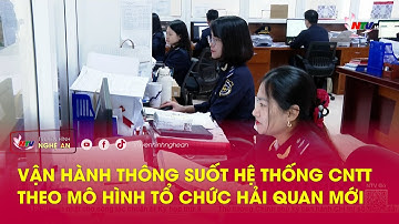 Vận hành thông suốt hệ thống CNTT theo mô hình tổ chức Hải quan mới