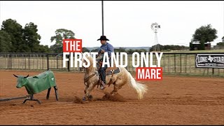 Lot 36: Wimpsical Serenade