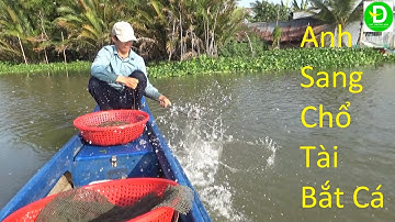 386  Giăng Câu Mòi Dưa Hấu - Chuối Xiêm Dính Cá Ai Thấy Mà Không Ham ( P2 ) | Đất Phương Nam