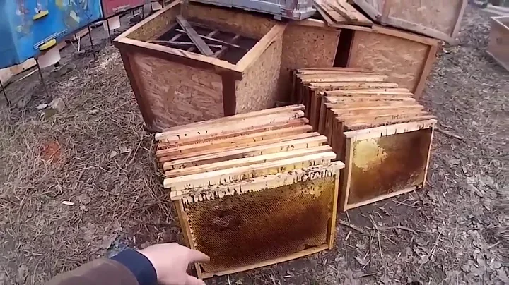 What to do with defecated, soured, moldy frames