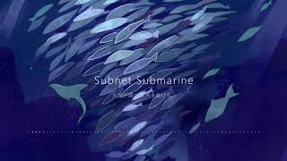 【M3-2020秋】 Subnet Submarine　XFD