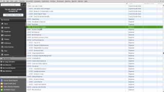 RPPC Inc - QuickBooks Chart of Accounts Clean up | Merge Accounts