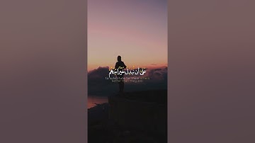 القارئ رزكار الكردى l كلا ان خلقناهم مما يعلمون سورة المعارج - الأية (39)