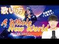 【歌い方】ホール・ニュー・ワールド「アラジン」の主題歌 カタカナ歌詞付き ディズニー