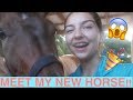 GETTING MY FIRST HORSE!!! :O