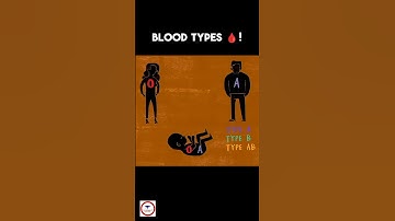 BLOEDGROEPEN 🩸! Waarom hebben we verschillende bloedgroepen?