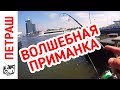 Хищник ДУРЕЕТ от этой приманки! Рыбалка для каждого!