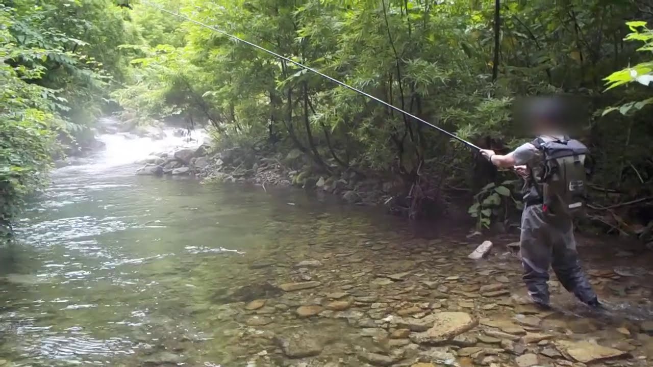 渓流釣り 年7月 大人の遠足 新潟 清津川でテンカラ釣り 遊びのマニエラ 渓流釣り 年7月 大人の遠足 新潟 清津川でテンカラ釣り 遊びのマニエラ