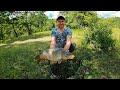 САЗАН УТАЩИЛ УДОЧКУ/ЛОВЛЯ КАРПА/ОТЛИЧНАЯ РЫБАЛКА/ЭКОФЕРМА/thefish/2021