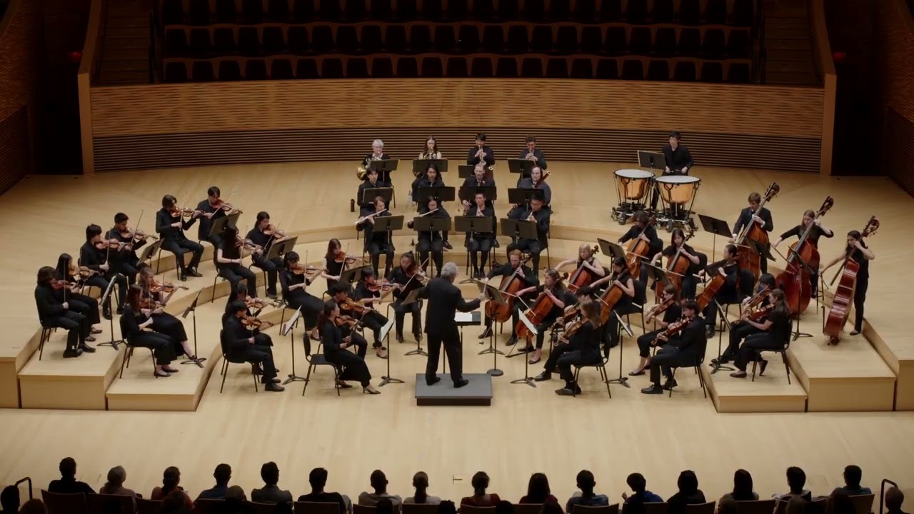 LUDWIG VAN BEETHOVEN Symphony No. 2 in D Major, Op. 36 - YouTube