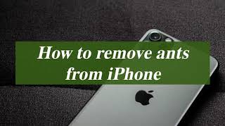 How to Remove Ants from iPhone | The Pests Control Network screenshot 1
