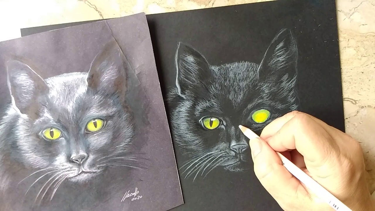 COMO DESENHAR UM GATO  DESENHANDO E PINTANDO UM GATINHO 