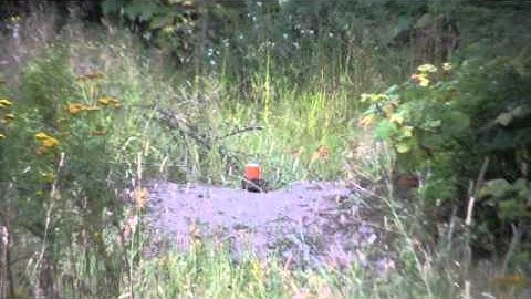 Exploding Binary Target