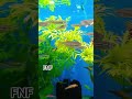 Black wild Danio Zebra #fish #trending #finsandfeathersaquaria #viralvideo #reels #aquarium #danio